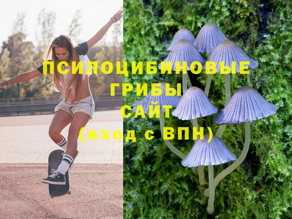 ALPHA PVP Арсеньев